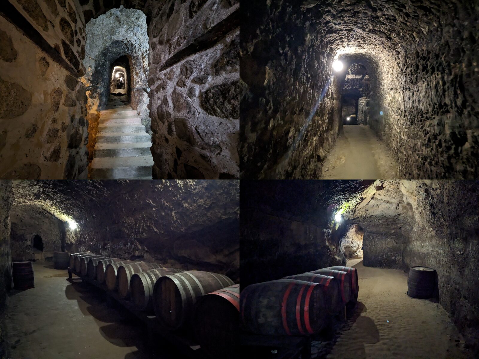 コルドプロフ邸地下のワインセラー