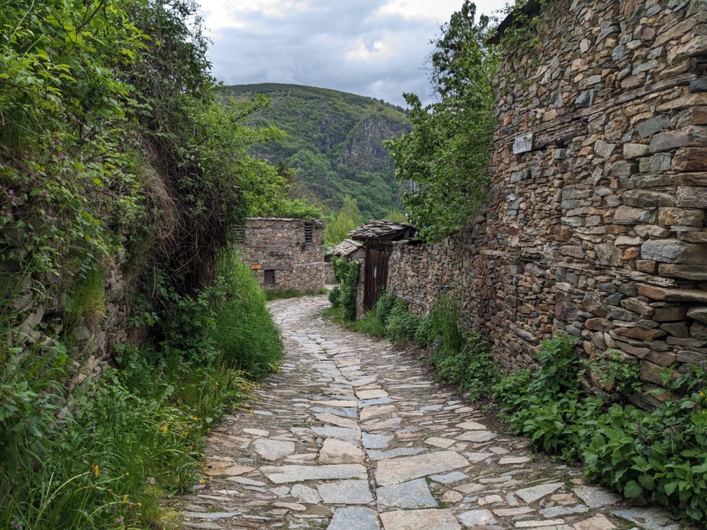 コヴァチェヴィツァの緑に覆われた街並み