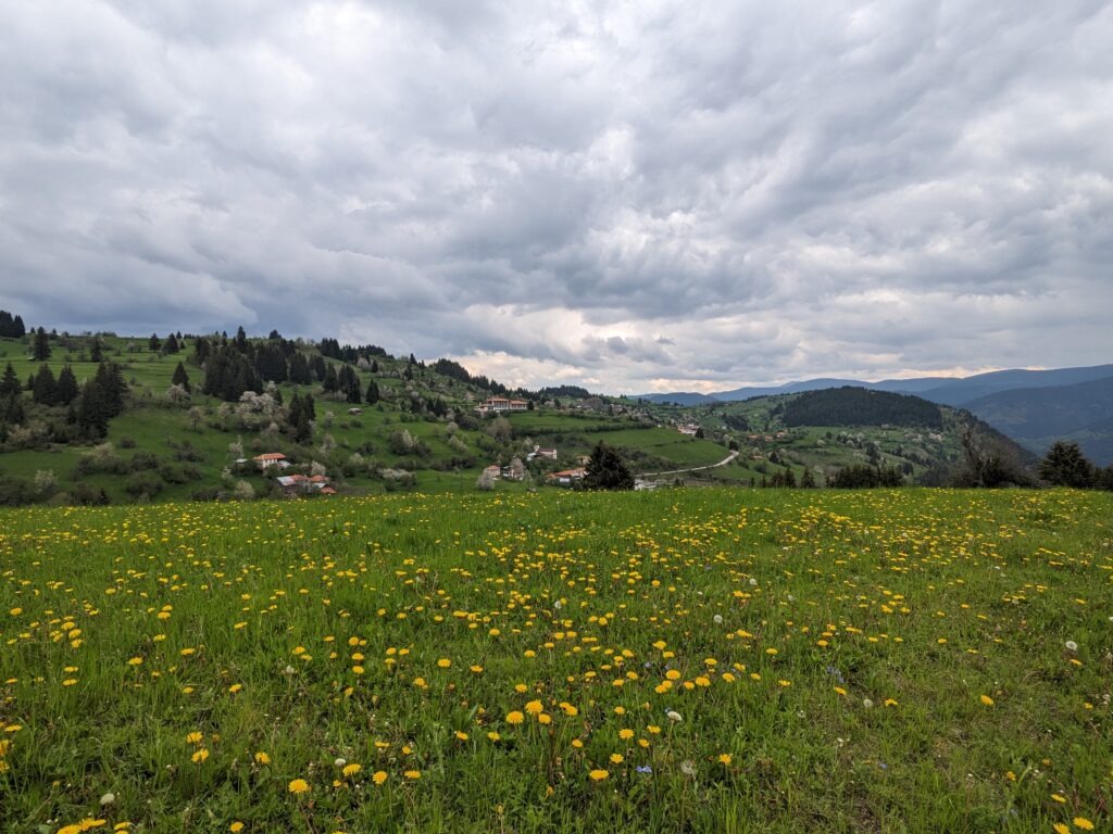 ゲラの村のたんぽぽ畑と空