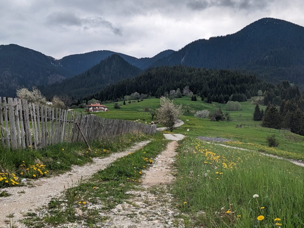 ゲラの平原と道と山並み