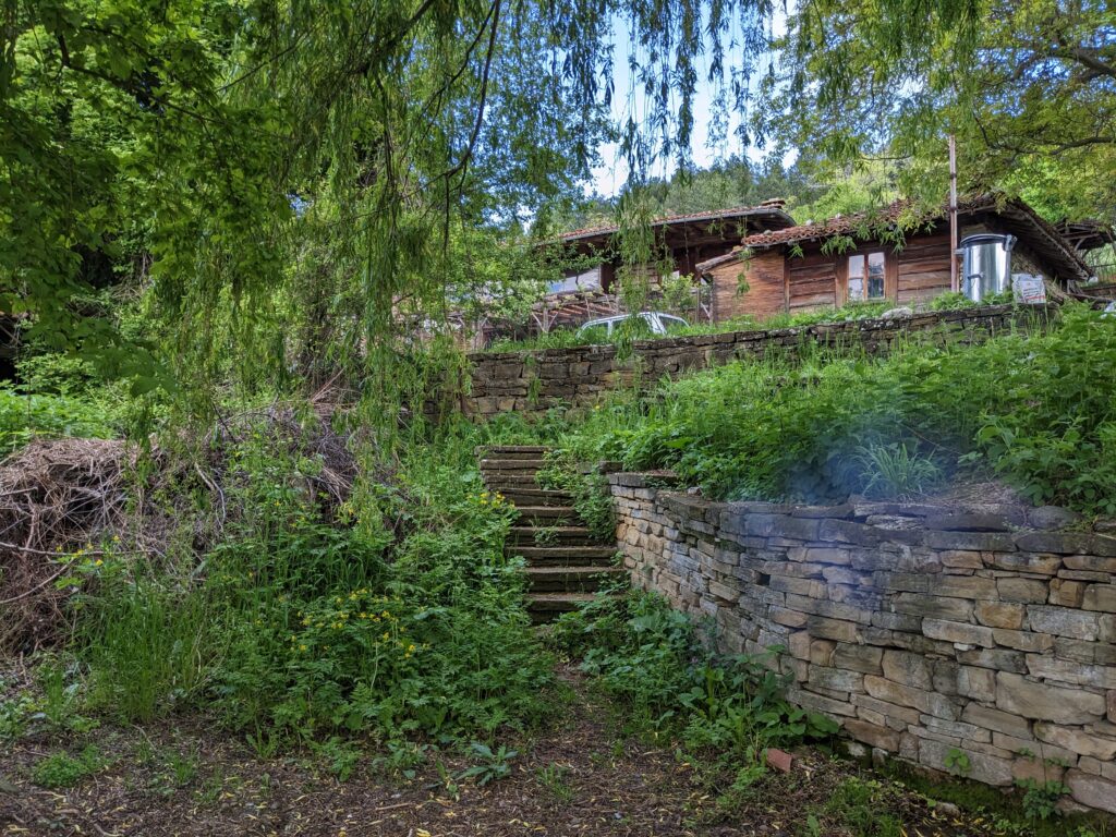 ジェラブナの植物に覆われた古民家