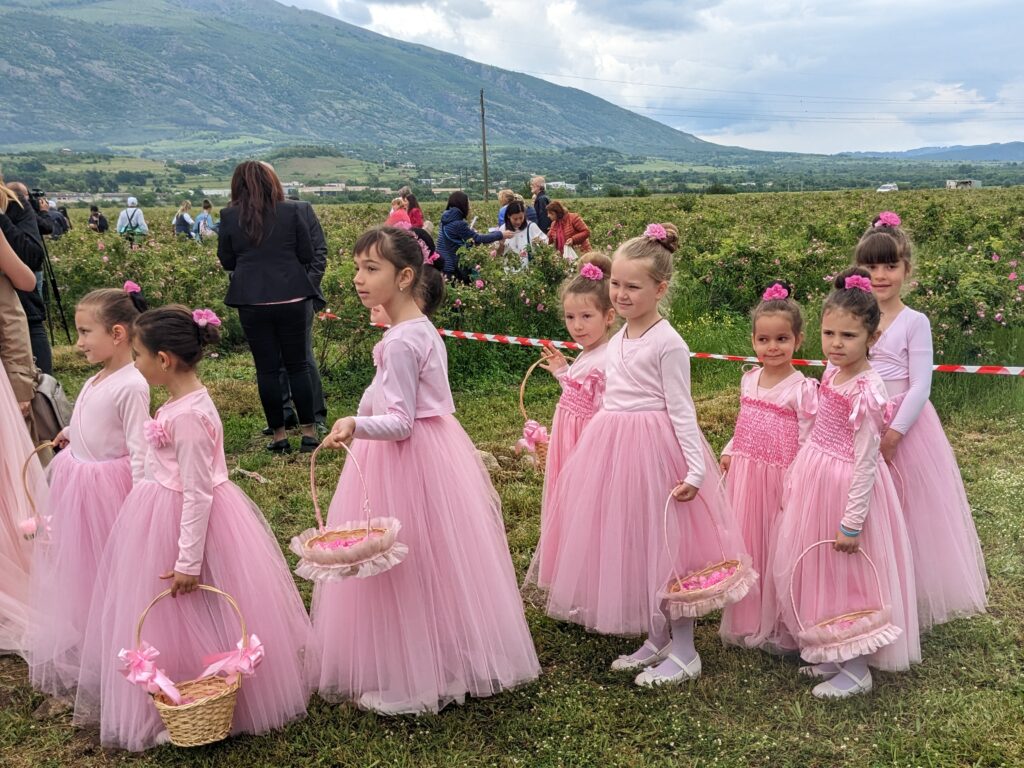 ピンクの衣装を着たカルロヴォのバラ祭りにいた子供たちの行列