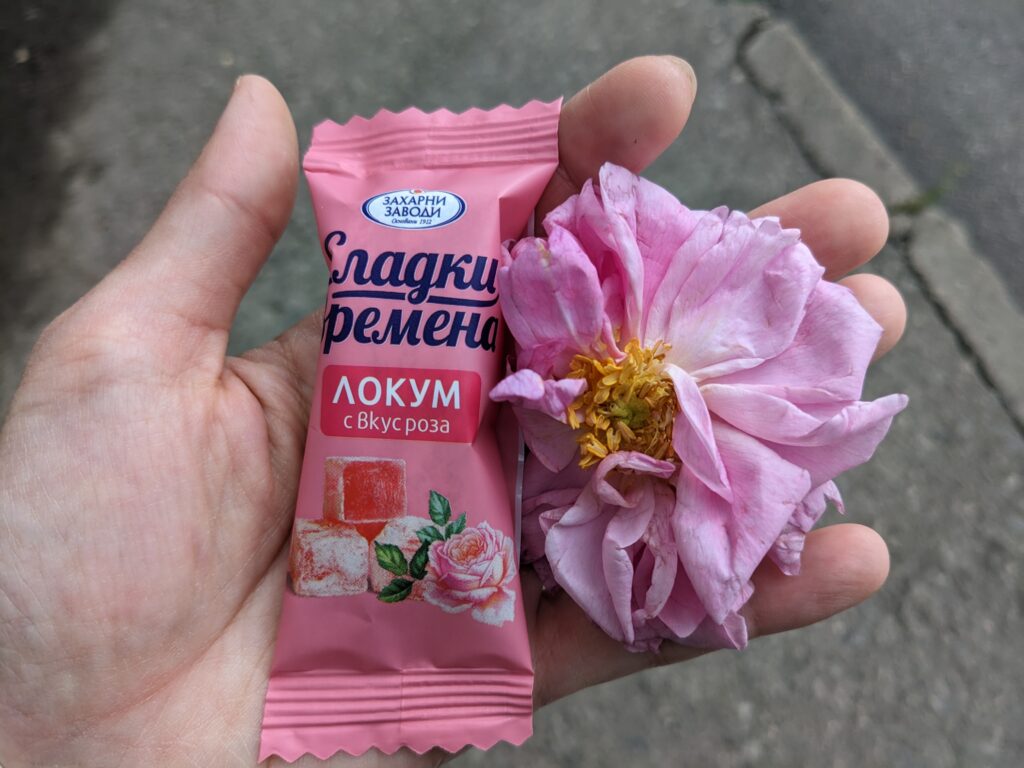 バラ祭りでもらったローズ味のロクム