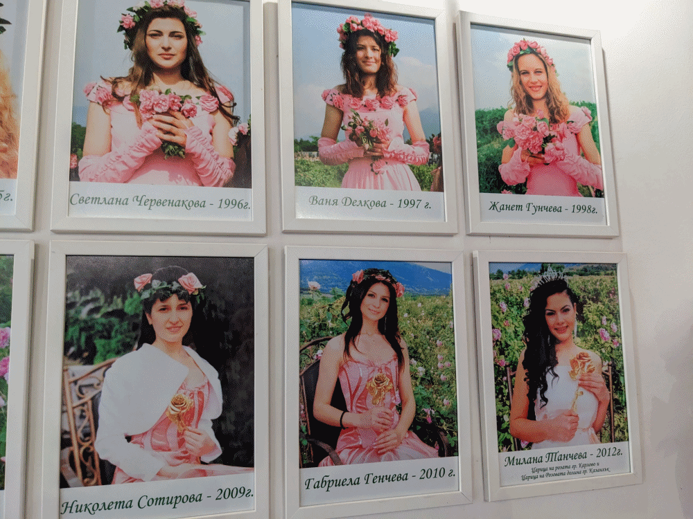 カルロヴォのハーブ博物館の内部