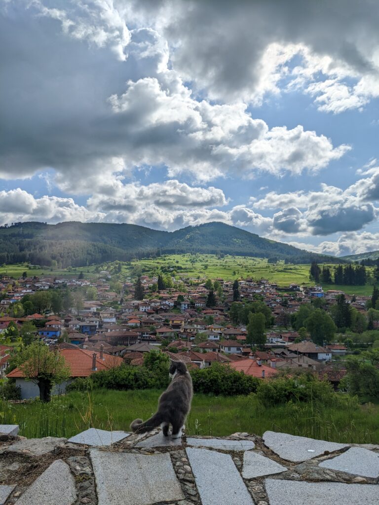 高台に佇む猫とコプリフシュティツァ引きの構図