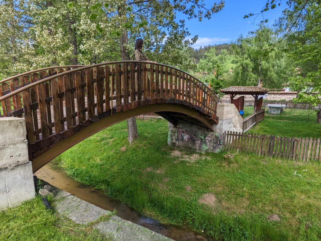 橋の上から川を眺める女性