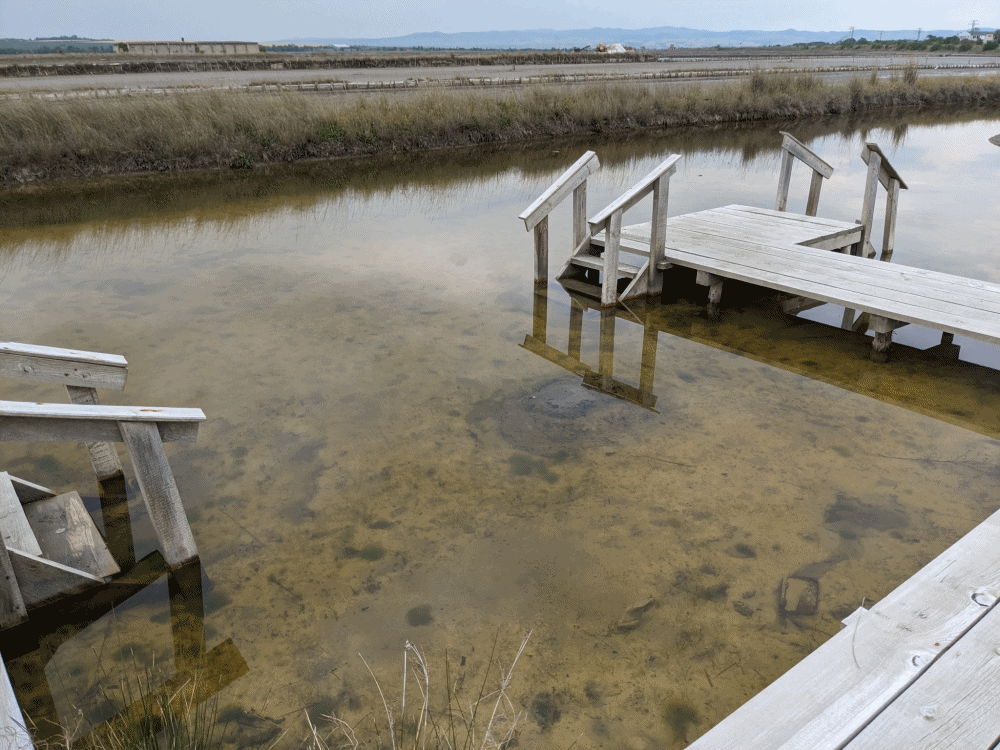 ブルガスの黒海の泥エステ