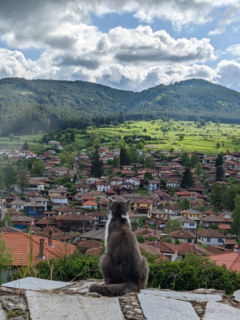 姉妹で旅する世界エッセイブルガリア編5の表紙画像高台に佇む猫の後ろ姿