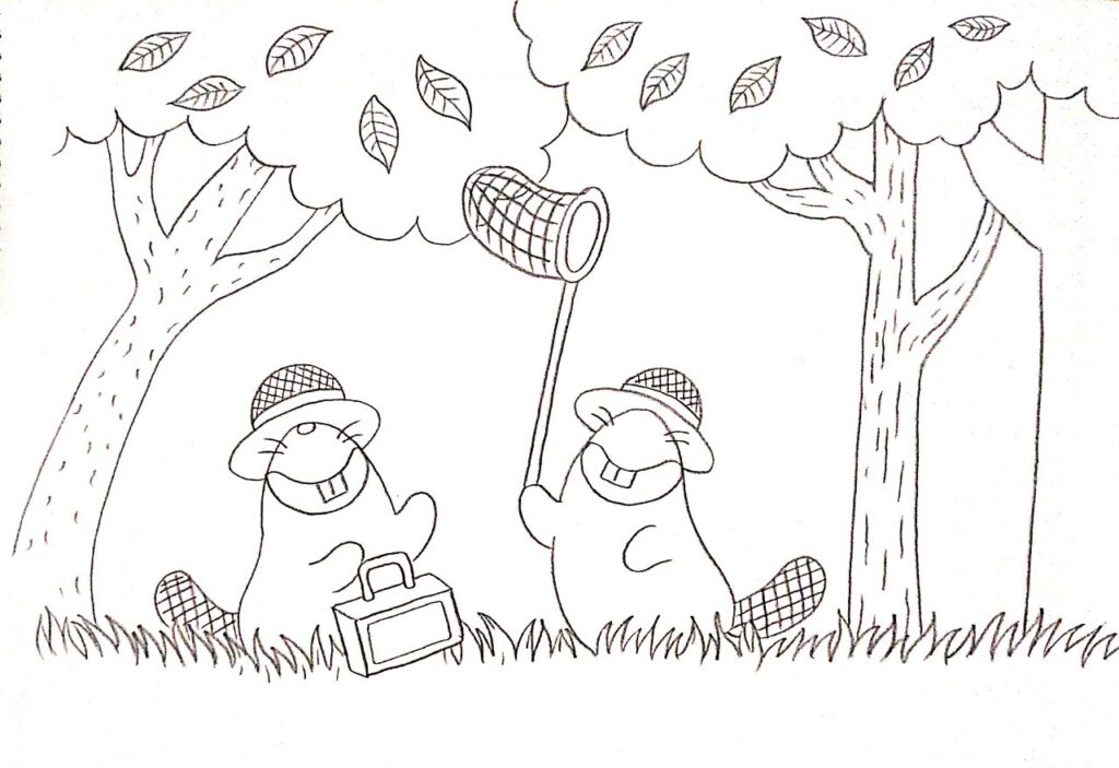 インスタの絵森にきたビーバー兄弟