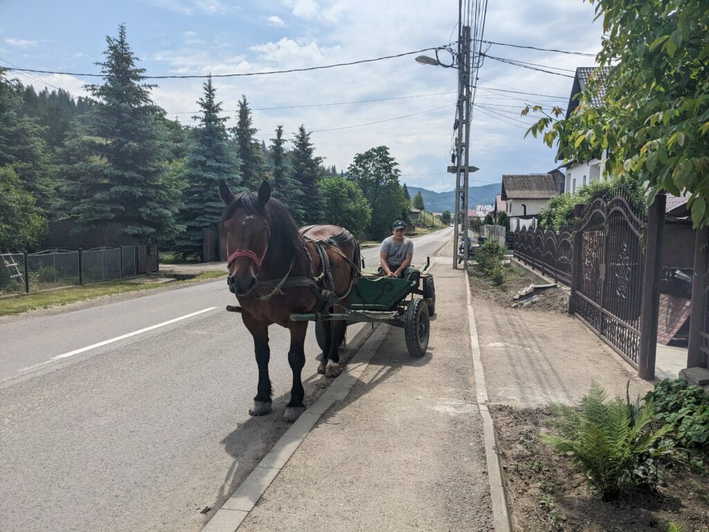 ブゴヴィナ地方の道で見かけた馬車