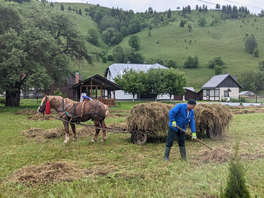 チョカネスティの農作業と馬車の風景