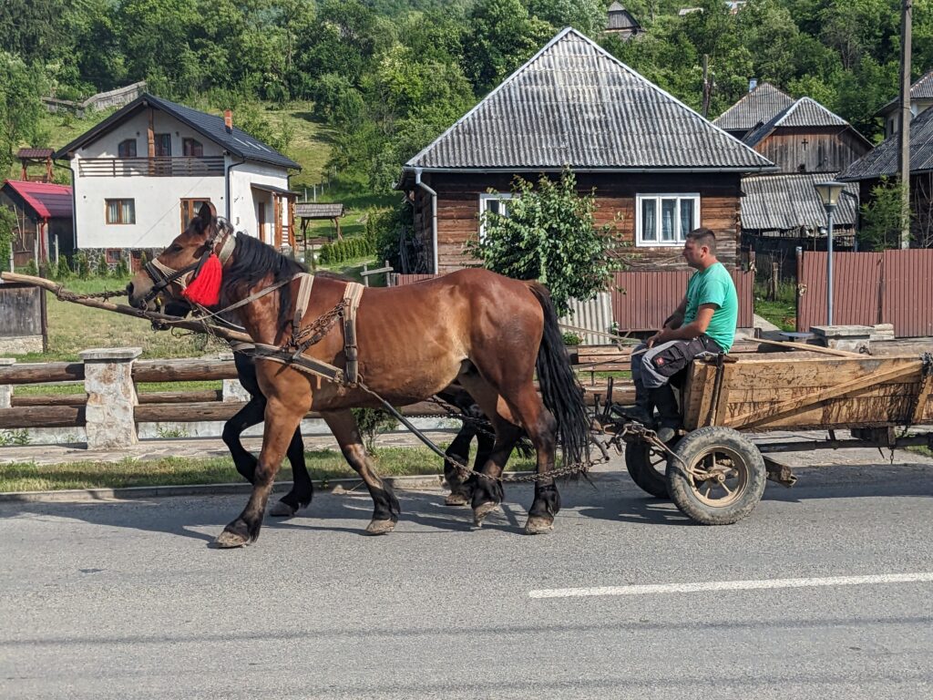 マラムレシュ地方を走る馬車