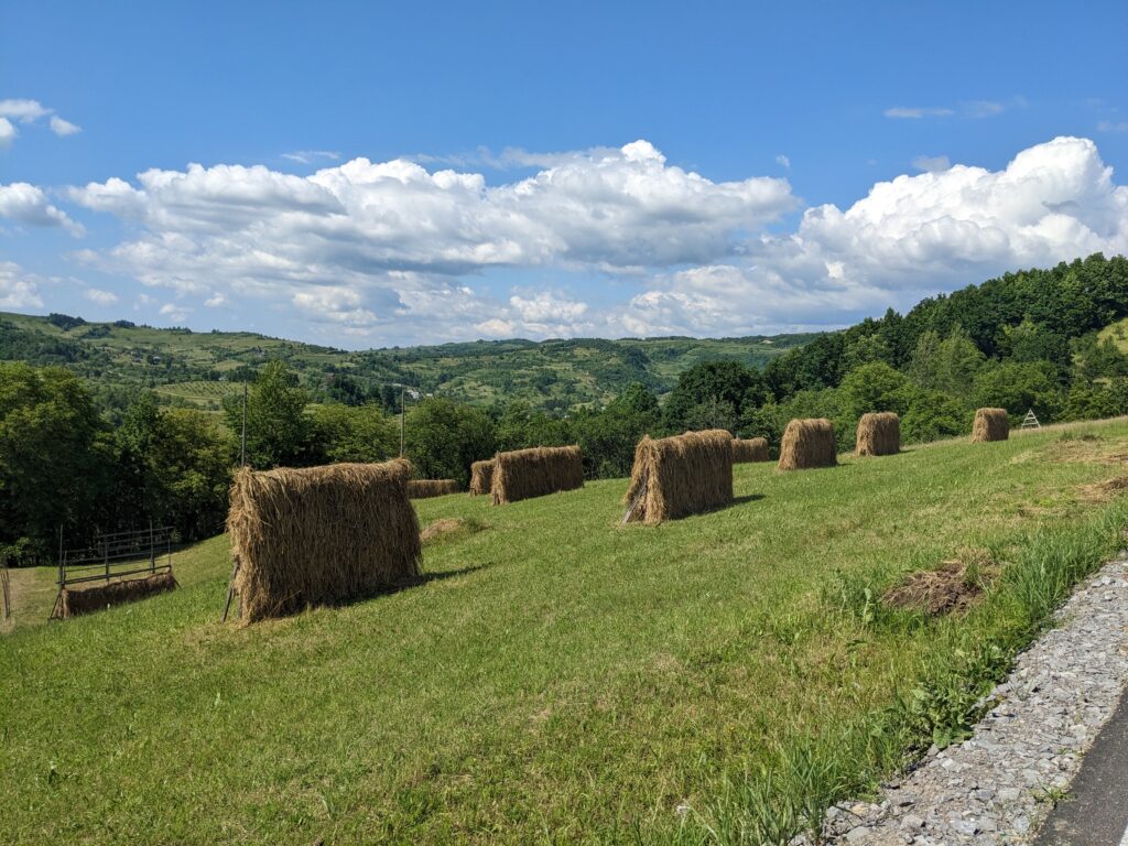 マラムレシュの干し草が並んだ農村風景