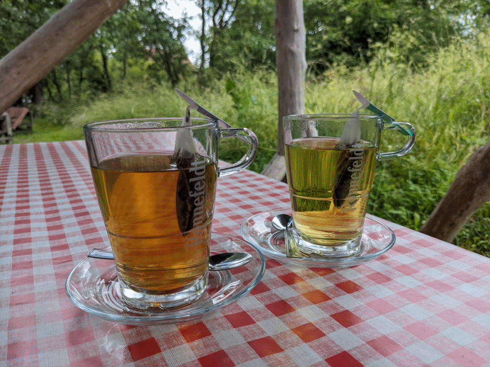 ブレブのカフェで飲んだハーブティーと蜂蜜