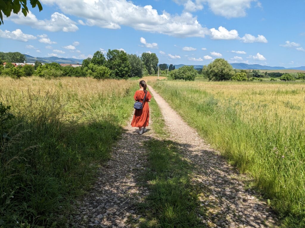 草原を歩く女性の後ろ姿